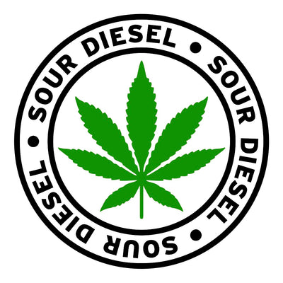 Everything You Wanted to Know About the Sativa Strain “Sour Diesel”