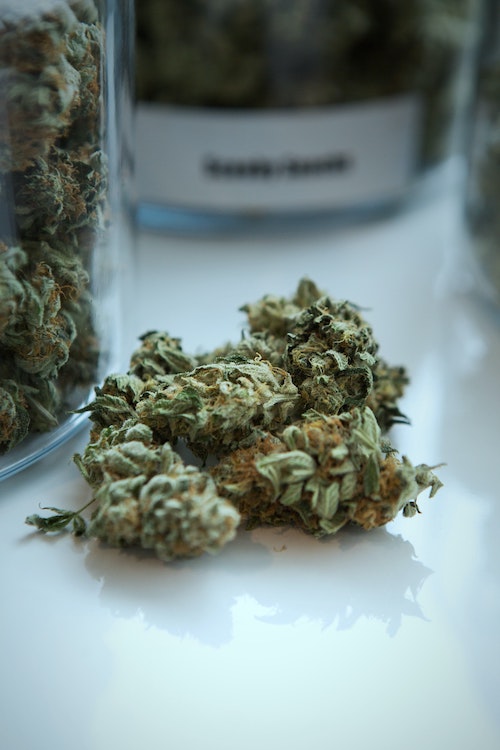 Weed Metrics: All the Weed Measurements You Need to Know