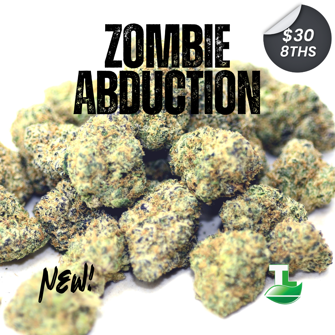 Zombie Abduction