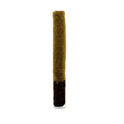King Glue Exotic Backwood Cigar with Wax, Hash Oil and Kief